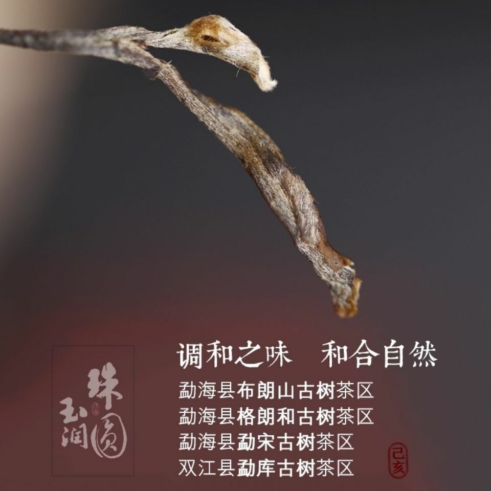 Haiwan Old Comrade 2019 Sheng Pu-erh "Zhu Yuan Yu Run" Puer Raw Puerh Tea 400g