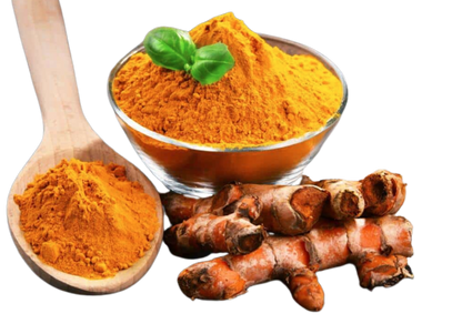 FRESH TURMERIC TUMERIC ROOT POWDER US SELLER CURCUMA LONGA SAFRON SPICE