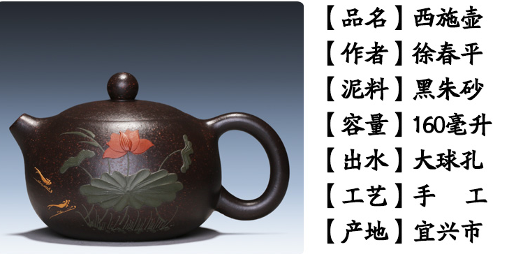 Chinese Yixing Zisha Clay Handmade Exquisite Teapot #855412