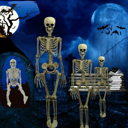 Esqueleto Poseable Tamaño Completo De La Vida Humana Halloween Decoración Fiesta