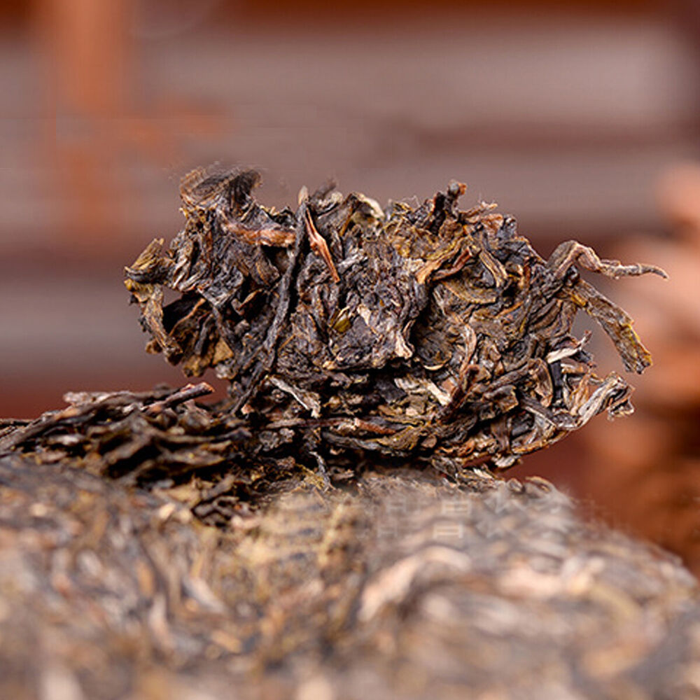Top Pu-erh Cha Tea High Mountain Wild Old Trees Yunnan Sheng Puerh Tea Cake 100g
