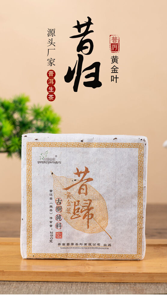 250g Xigui Golden Leaf Puerh Raw Tea Brick Yunnan Ancient Tree Pu'er Tea