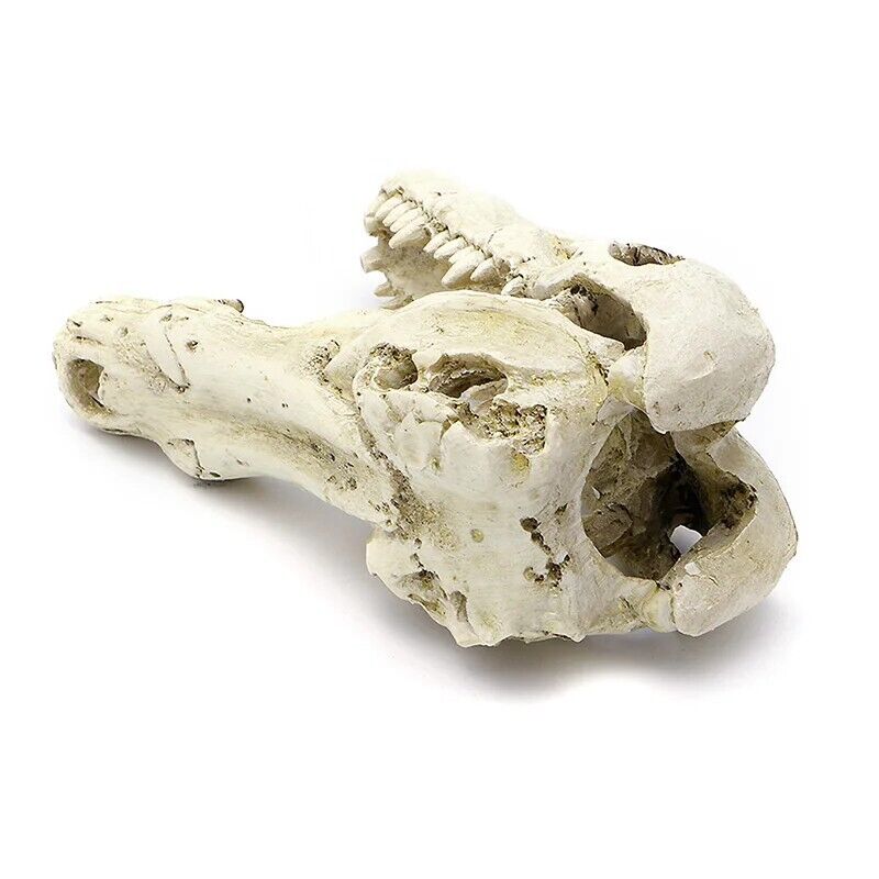 Aquarium Decoration 5" Resin Crocodile Skull Artificial Decor Fish Tank Ornament