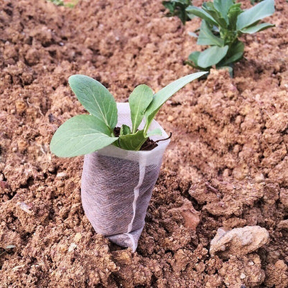 100x Seedling Plants Nursery Bags Fabric Eco-friendly Growing Planting Bags..X