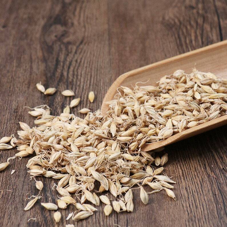 Organic herbal Fructus Hordei Germinatus Malt Hordeum Vulgare Great Quality