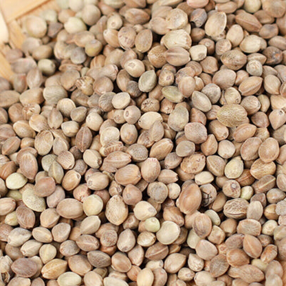 250g/500g 100% Healthy Herbal Tea Original Huomaren Chinese Specialty 火麻仁