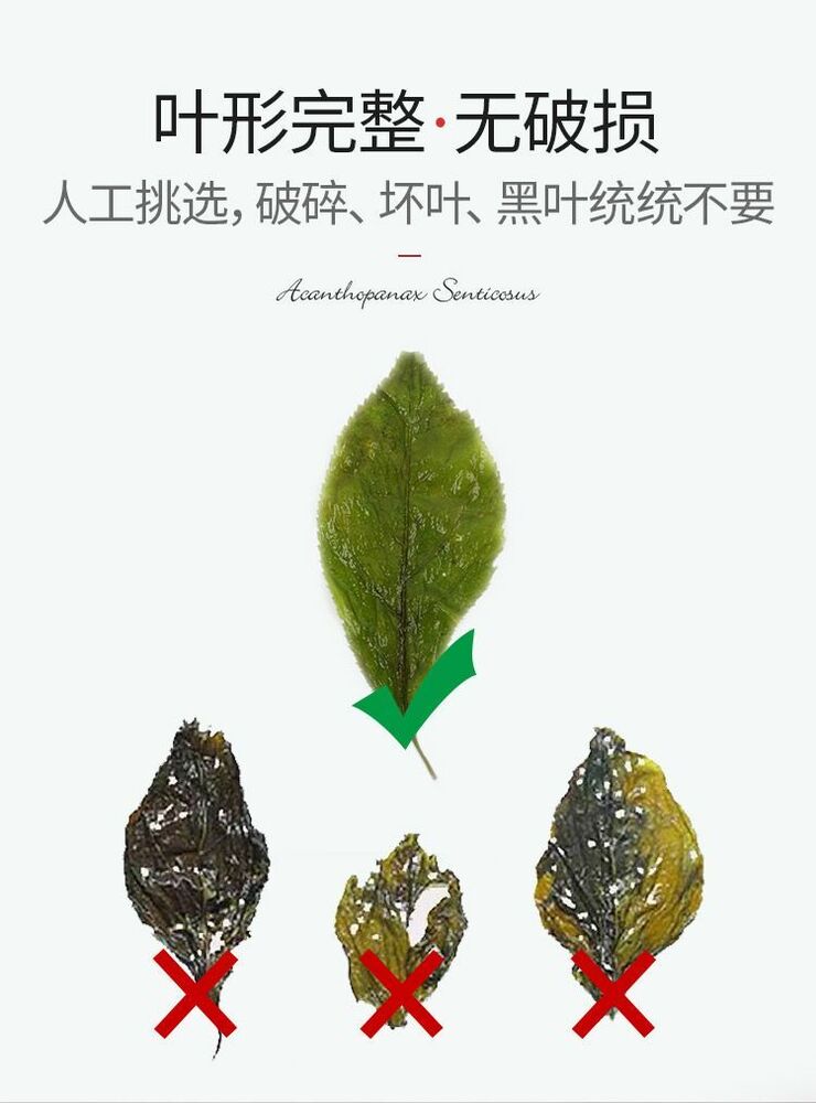 长白山野生 刺五加茶 安神睡眠 Changbaishan Wild Acanthopanax Tea /Siberian ginseng Tea