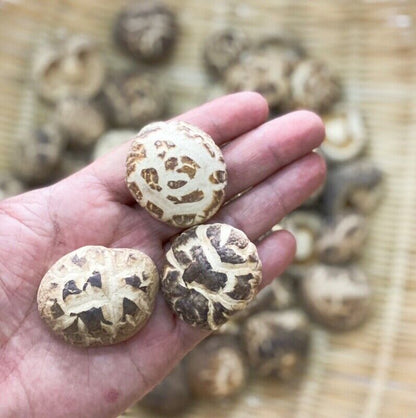 250g Premium Chinese Dried Tea Flower Mushroom Herbal Edible Fungi Bag Package