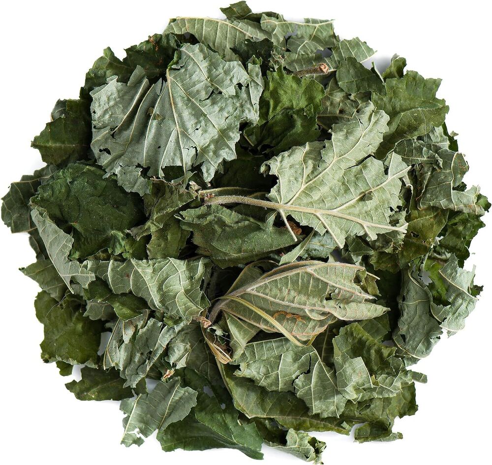 Hazelnut Leaf Tea - Corylus Avellana - 200g