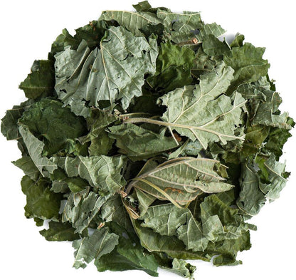 Hazelnut Leaf Tea - Corylus Avellana - 200g