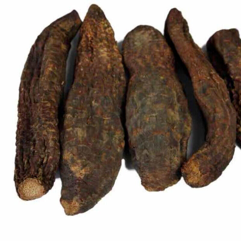 500g/1000g Natural Sinkiang Desertliving Cistanche Herb Wild Tonic Rou Song Rong