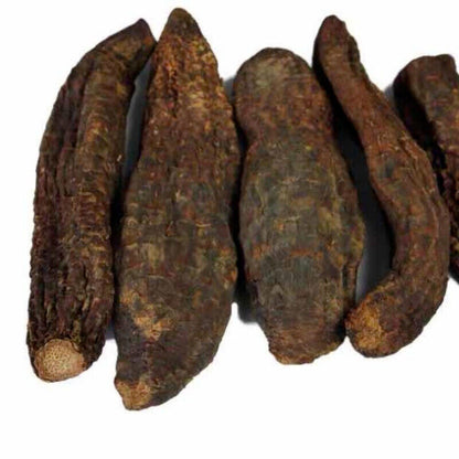 500g/1000g Natural Sinkiang Desertliving Cistanche Herb Wild Tonic Rou Song Rong