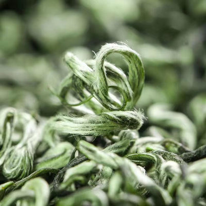 250g Biluochun Green Tea Super Grade Aroma Chinese Organic Green Tea Loose Leaf
