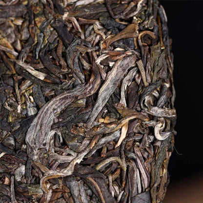 Haiwan Yi Wu Zheng Shan Shen Puer Tea Ma Hei Famous Old Tree Pu'er 500g