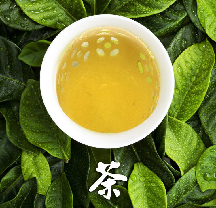 Spring White Tea Silver Needle Premium Bai Hao Yin Zhen Cake Kungfu Tea 300g