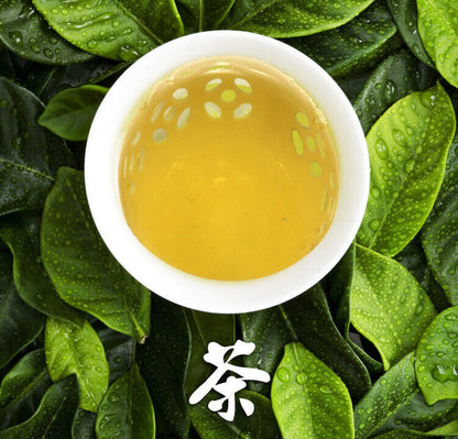 Spring White Tea Silver Needle Premium Bai Hao Yin Zhen Cake Kungfu Tea 300g