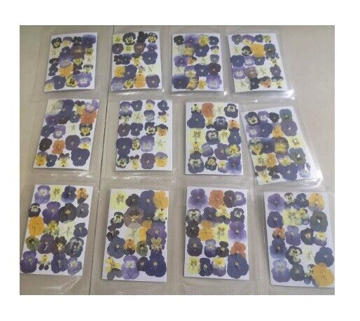 60Pcs/Lot Pressed Dried Viola Tricolor Flower Jewelry Postcard Diy Making Supply
