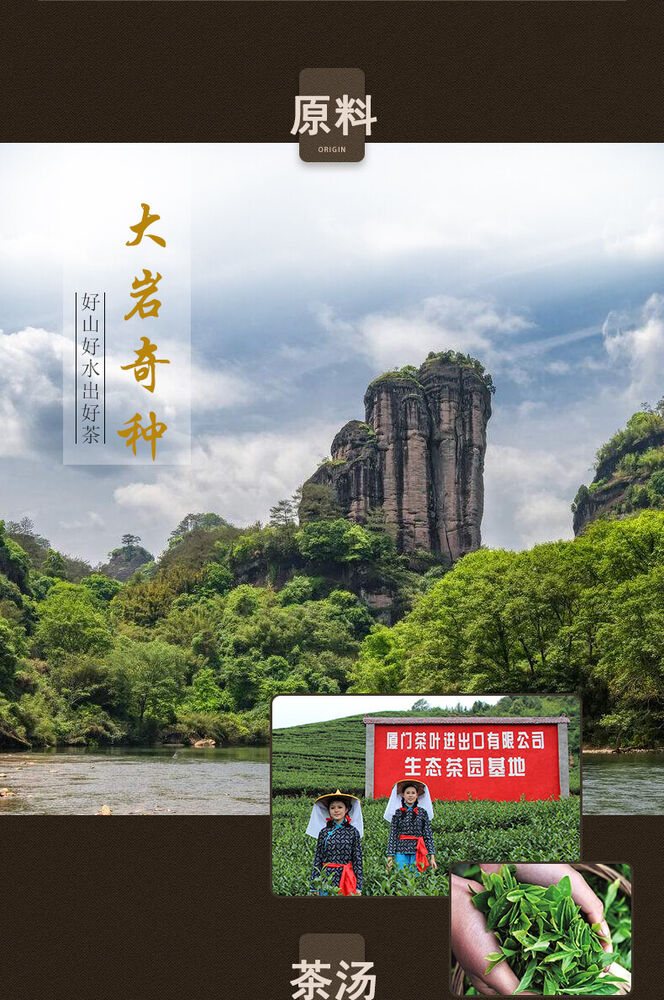 Sea Dyke AT101 DAN CONG QI ZHONG Fujian Oolong Tea Wuyi Rock Tea 125g Tin