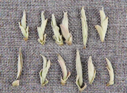 Yunnan White Bud Pu-erh Tea Bai Ya Bao Sheng Puerh Loose Leaf Raw Puer Yabao