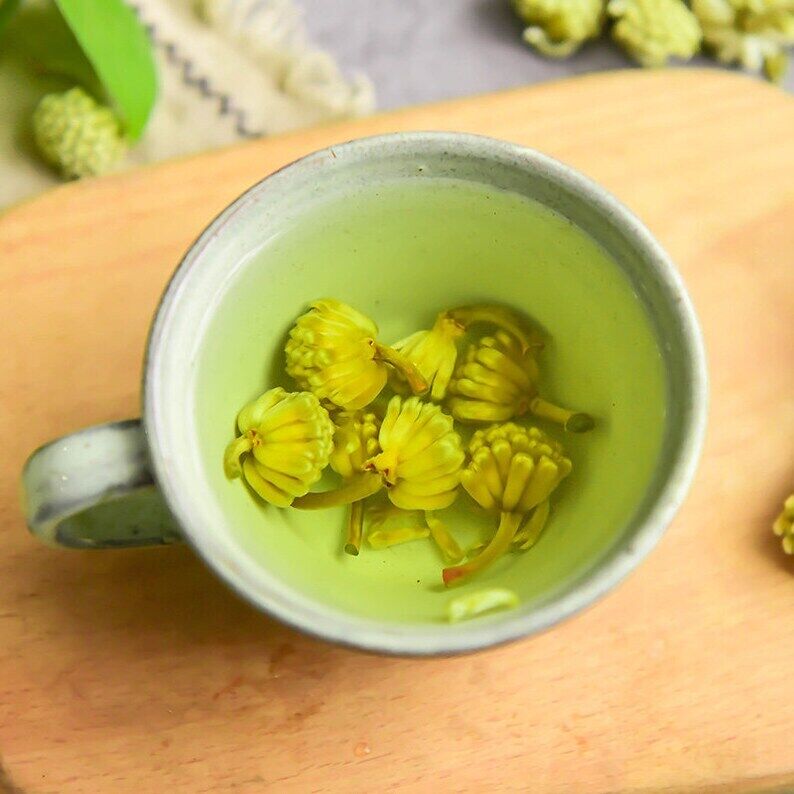 Dried Green Flower Scindapsus Aureus Edgeworthia Chrysantha Makes A Healthy Tea