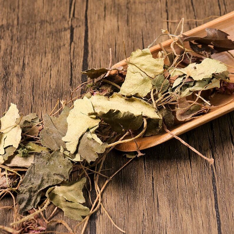 Organic Herbal Saxifraga Stolonifera Herbal Saxifragae Healthy Tea