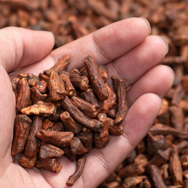 Dandelion Root Tea 220g/can Changbai Mountain Dandelion Root Chinese Herbal Tea
