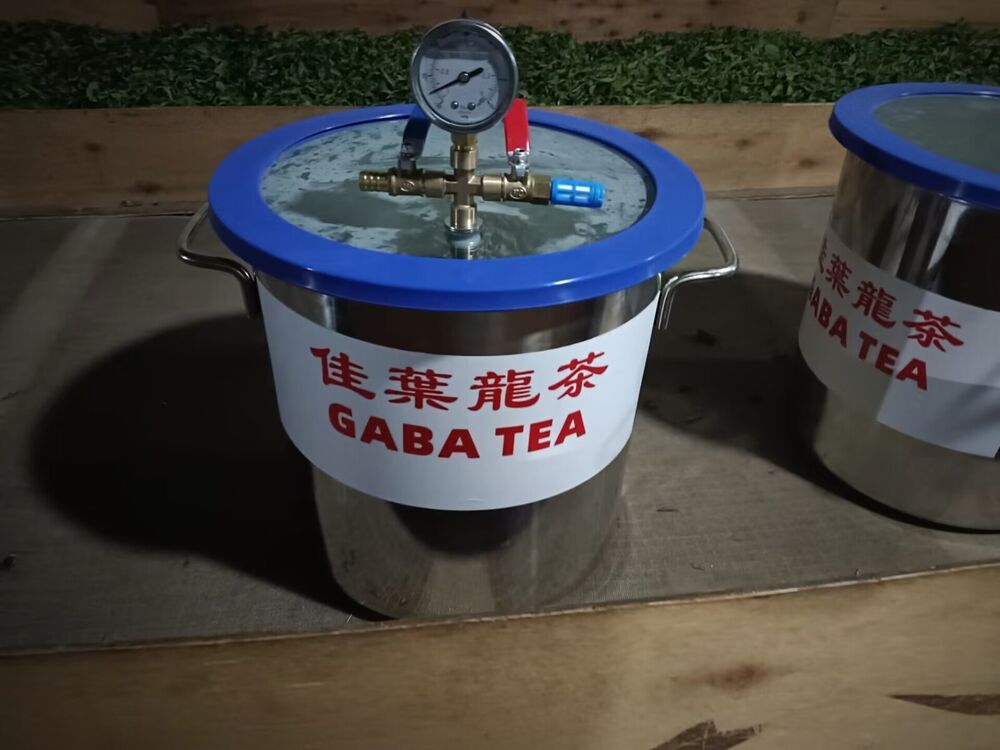 Chinese unique tea - Nie Qun Hao Gaba White Tea, 2023, 250g