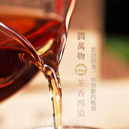 250g Classic 1999 Pu-erh Brick Tea Haiwan Old Comrade Puer Old Tree Puerh Tea
