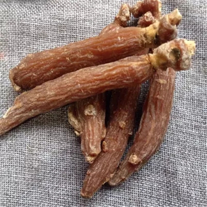 Asian Panax Korean Red Ginseng Root RARE 500g