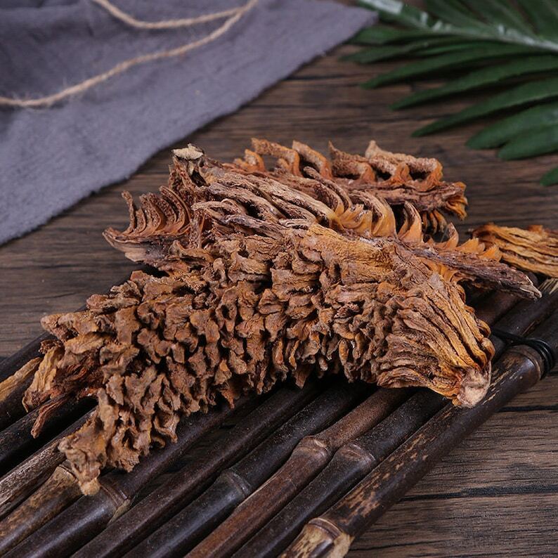 Dried Sago Palm Flower Natural Herbal Cycas Revoluta Tie Shu Hua Top Quality
