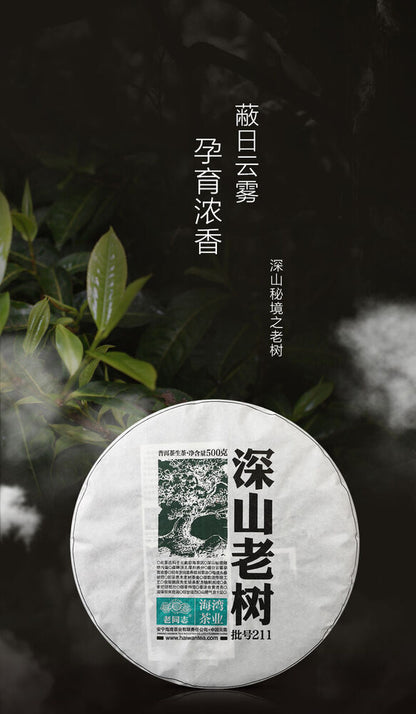 Pu-Erh, Old Comrade, Deep Mountain Old Tree Cake Tea, 2021y, 500g, Raw