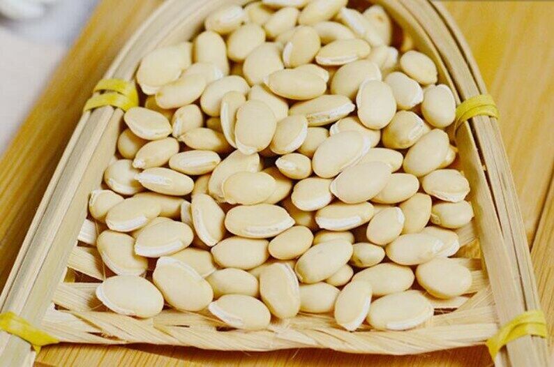 Premium Semen Lablab Album White Lablab Bean Dolichos Lablab Pure Natural Herb