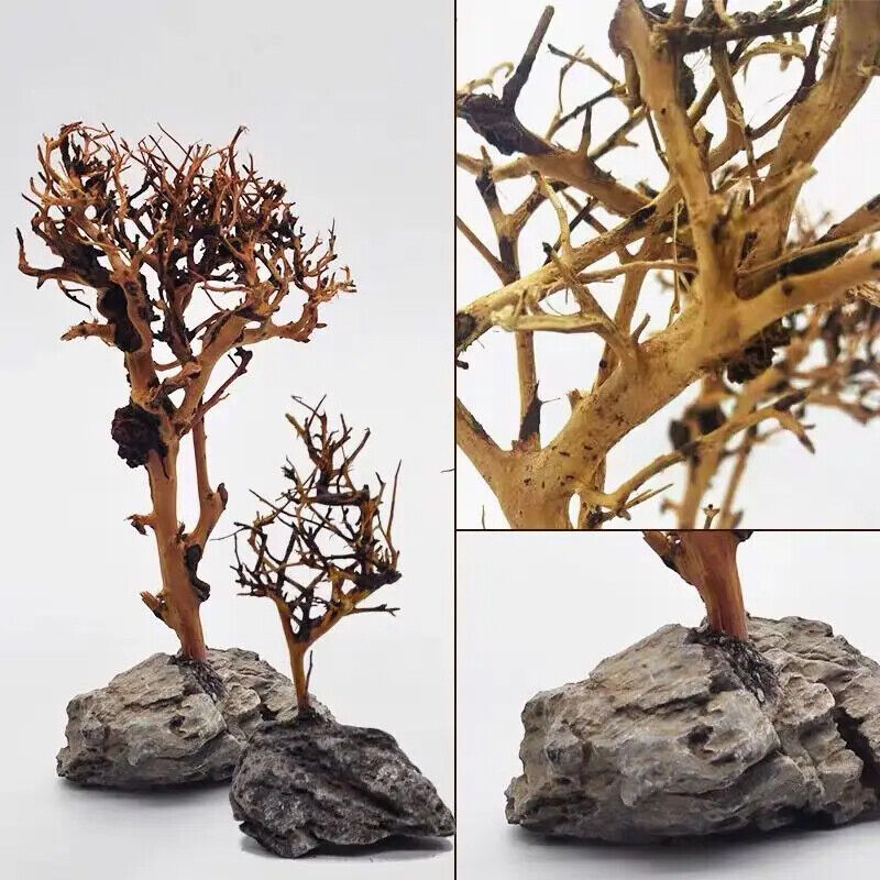 Aquarium Decoration Fish Tank Driftwood Moss Tree Purple Teak Wood Trunk 10-25cm