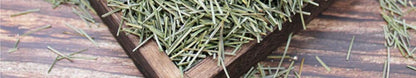 Antioxidant Organic White Pine Needle Tea-40 Bags