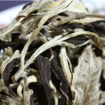Yunnan Jing Gu Cha Puer Tea Moonlight White BudsPu'erPuerhLoserLeaf-Tea100g-