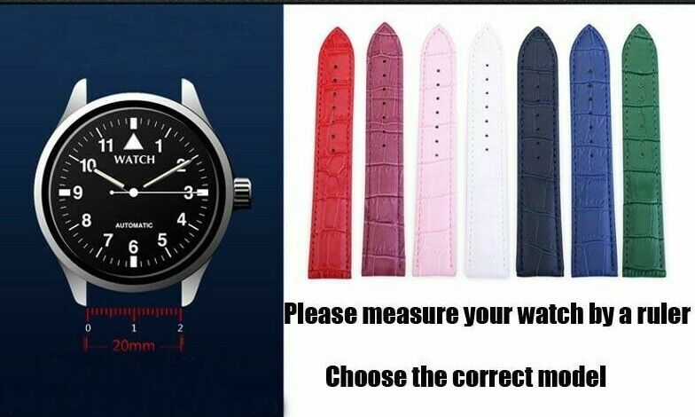Crocodile Genuine Leather Watch Bands 12mm~24mm Wristwatch Butterfly Clasp Strap
