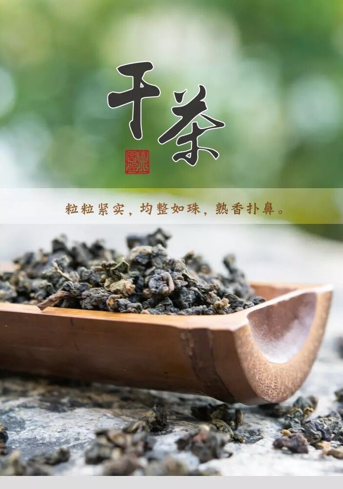 Taiwan Frozen Top Oolong Oolong Tea Spring Tea Selected Taiwan High Mountain Tea