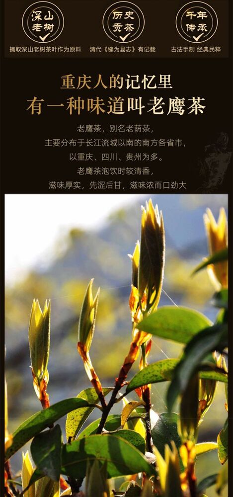Chongqing Specialties LaoYing Tea Chinese herb tea 老鹰茶特级重庆特产正宗老荫茶红白茶火锅茶叶凉茶