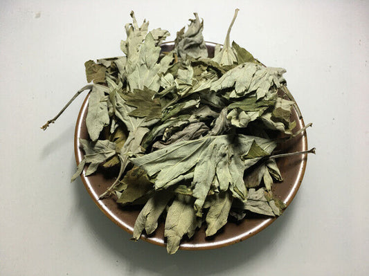 Natural Wild Ai Ye Mugwort Leaf Folium Artemisiae Argyi Chinese Herbal Tea