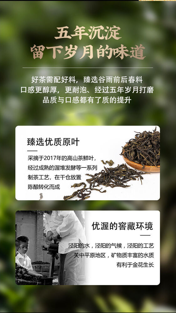 500g Shanxi Specialties Guan Tea Fu Tea 陕西伏茶西安特产泾阳金花茯茶 500g