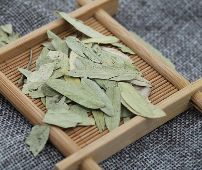 100% Natural Senna Dried Leaves Herb Herbal Tea Loose Leaf Tea