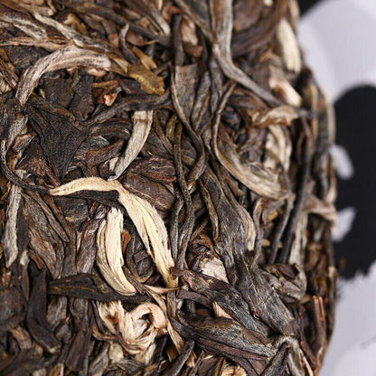 400g 2019 Haiwan Yun Hai Raw Puer Yunnan Aged Tree Old Comrade Sheng Puer Tea