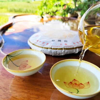 Yunnan Menghai Pu'er Tea Brown Mountain Early Spring Arbor Pu'er Raw Tea Cake