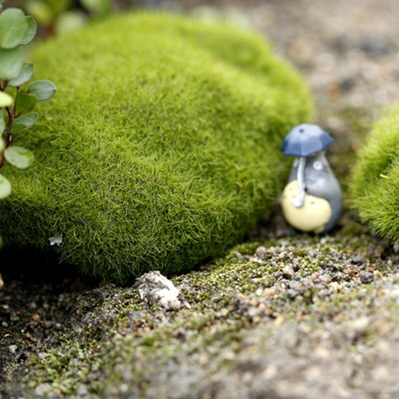 Ant Farm Decoration Artificial Mini Moss Stones Micro-Landscape Decor 3 6 8 10cm