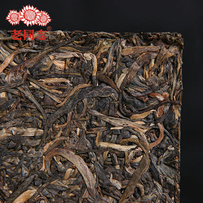 Haiwan Old Comrade Organic Old Tea Tree Pu-erh Brick 2012 500g Raw Pu'er Puer
