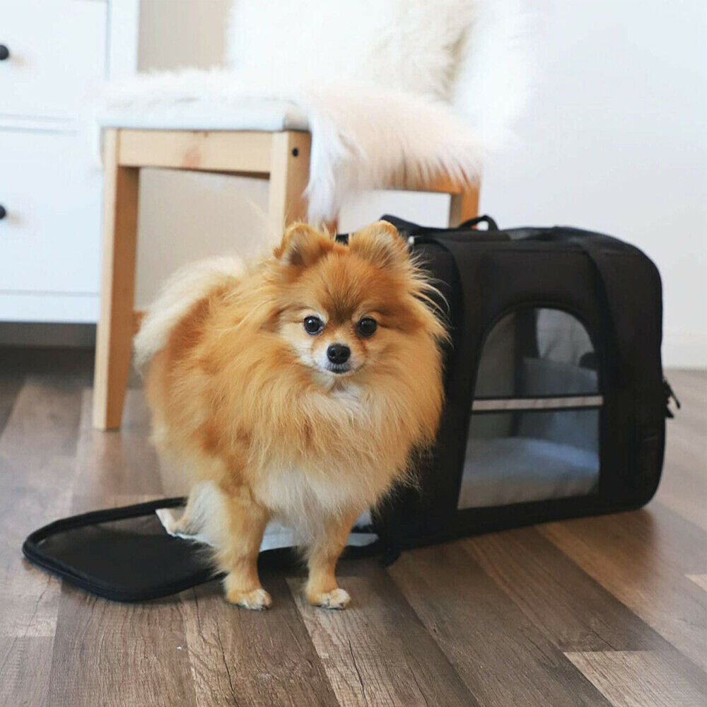 Pet Dog /Small Cat Carrier Soft Sided Comfort Bag Travel Case Airline Approved