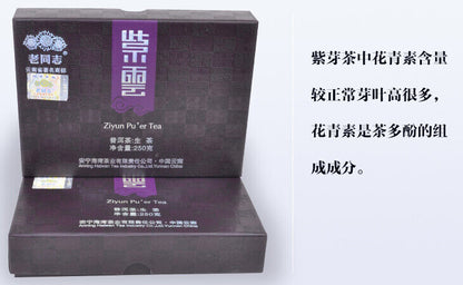 Purple Bud Ziyun Pu'er Tea * Haiwan Old Comrade Puer Pu Erh Brick Raw 250g