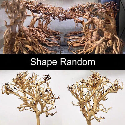 Aquarium Decoration Fish Tank Driftwood Moss Tree Purple Teak Wood Trunk 10-25cm