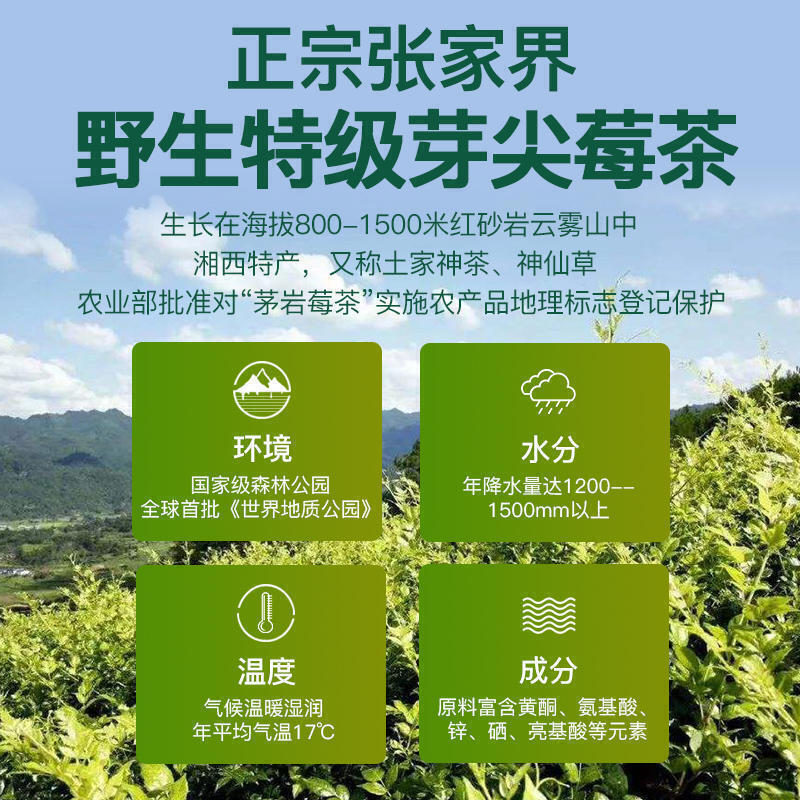 张家界芽尖莓茶碎茶湘西永顺土家特级正品龙须碎芽霉茶咽喉养生茶 Meicha Natural Health Herbal Tea