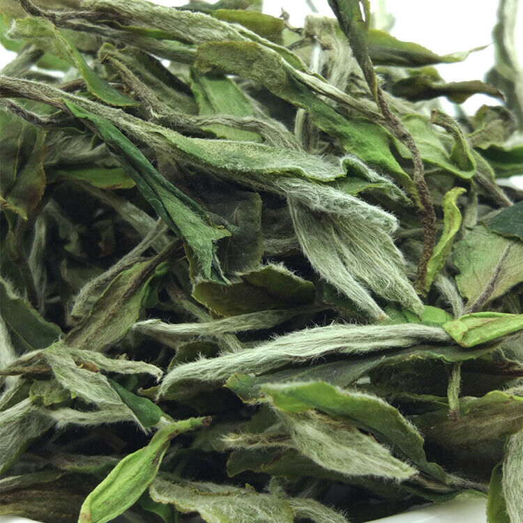 Premium Bai Mu Dan White Peony White Tea Aged Fuding Pai Mu Tan Bai Cha